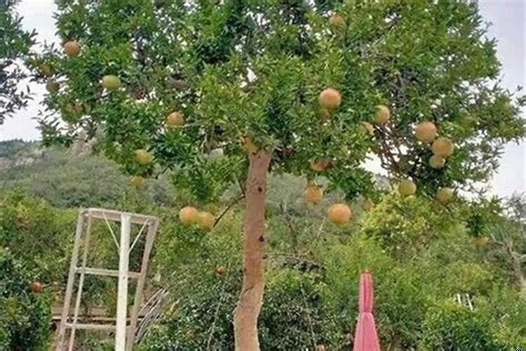 房子哪边有山有水好