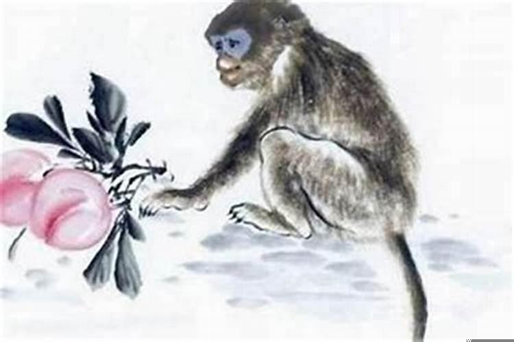 属虎和属猴一起财运怎么样