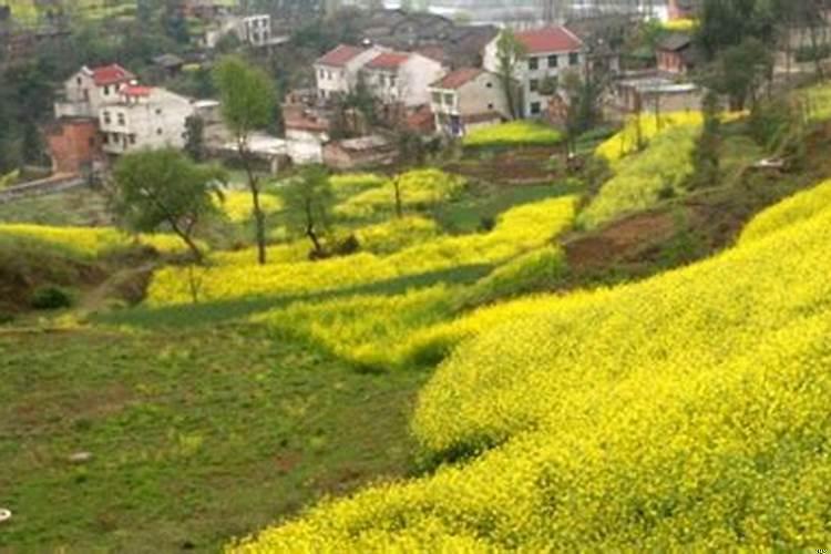 小区房屋地势高低风水