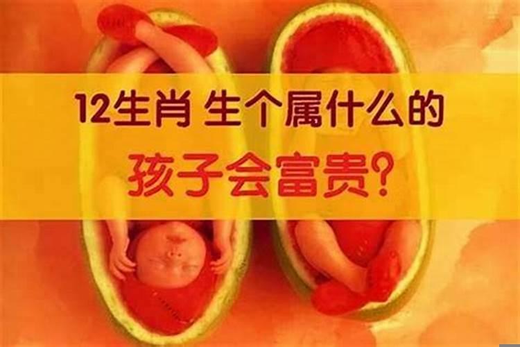哪个生肖的孩子最有本事呢