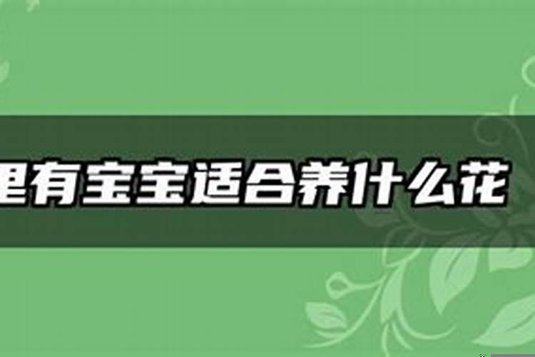 家里有孩子考试应该养什么花