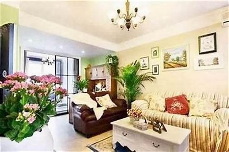 家里怎么摆放招财鱼