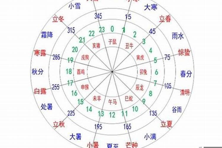 干天地支五行是什么