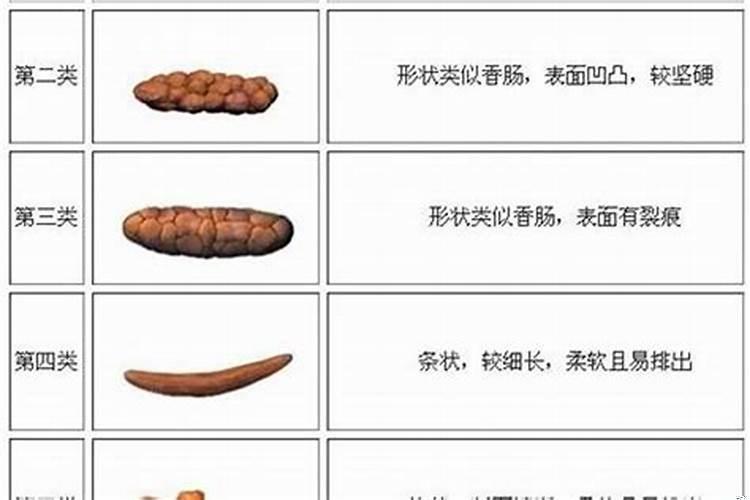 大便带血查血常规