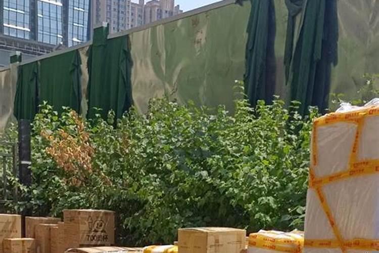 两次搬家的原因分别是什么