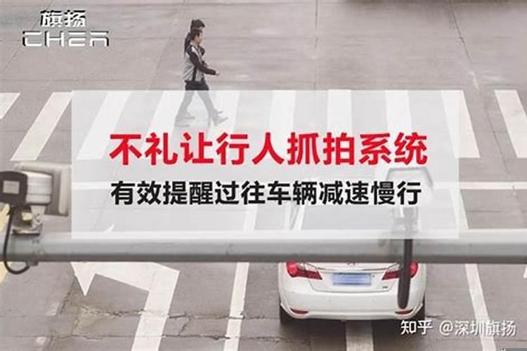 怎样做到礼让行人不违法