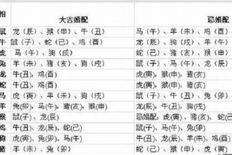 生肖牛过后是什么生肖