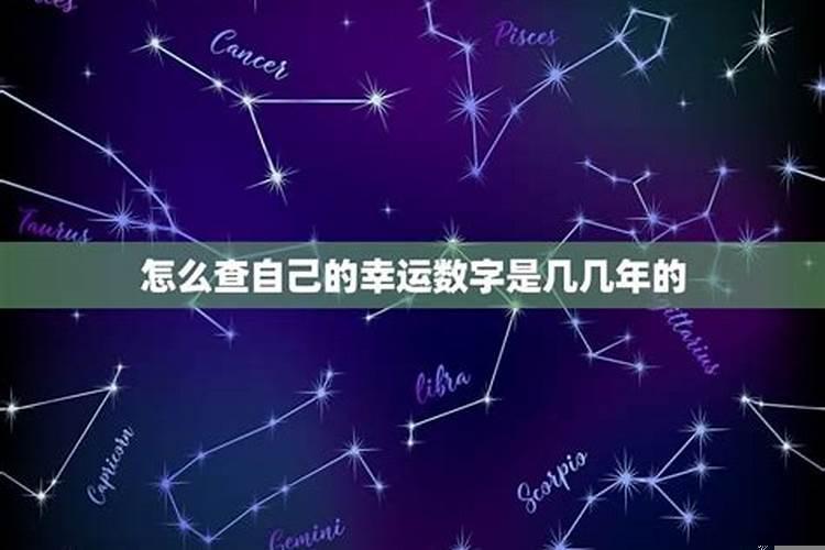 你的幸运数字是几号