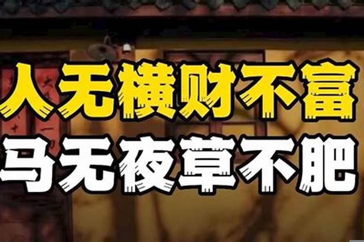 都说人无横财不富,马无夜草不肥