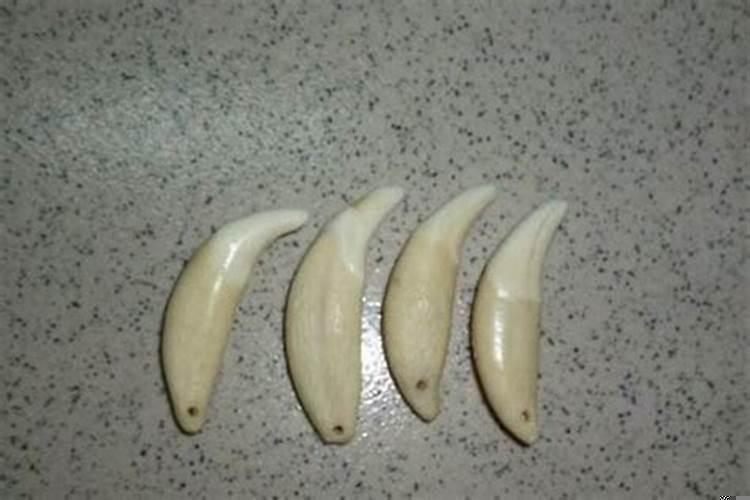 宝宝戴什么东西可以辟邪