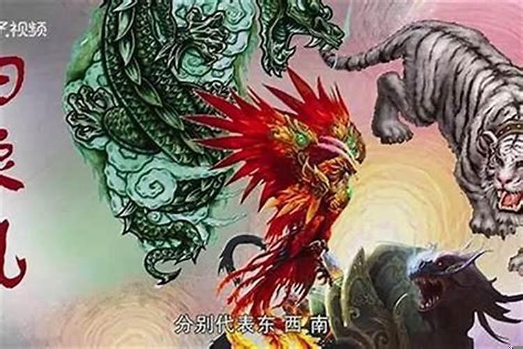 朱雀玄武青龙白虎是什么意思