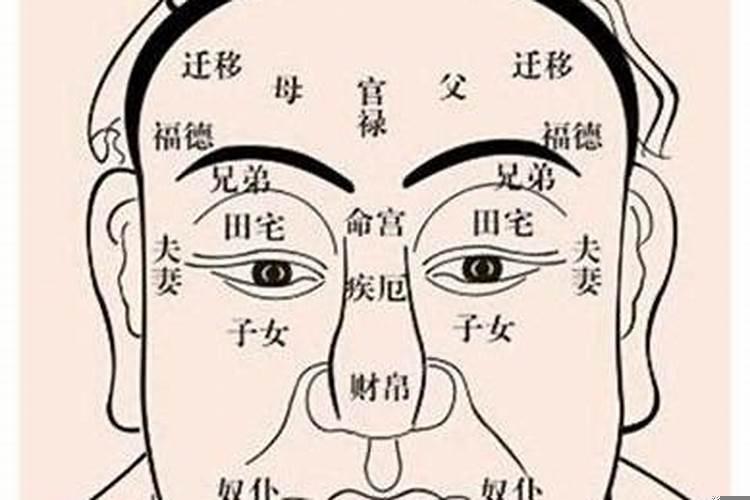 男人官运看哪里