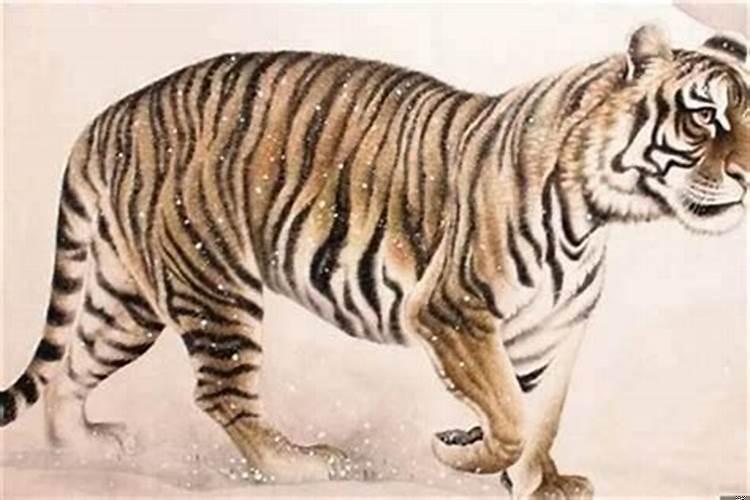 2025年龙年不宜结婚的属相