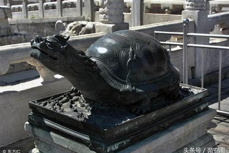 龙龟能化解一切凶煞吗