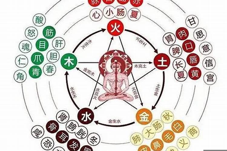 如何算阴阳五行