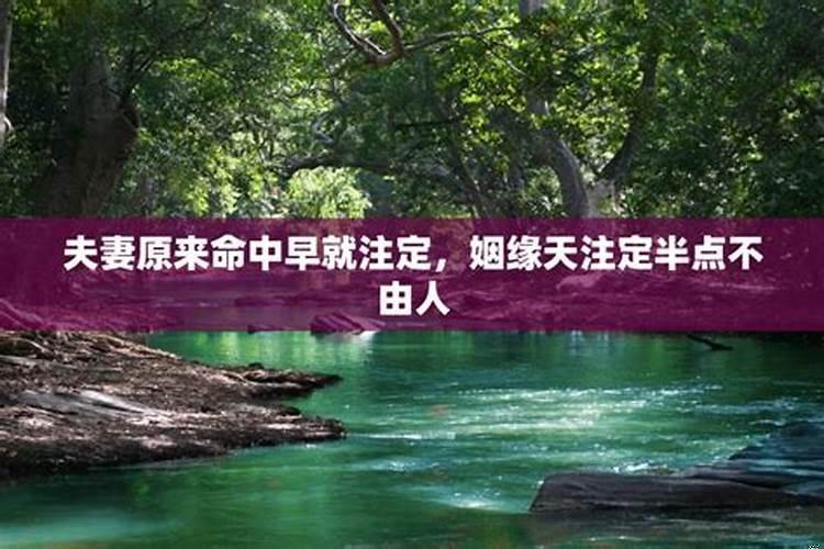 夫妻原本是命中注定