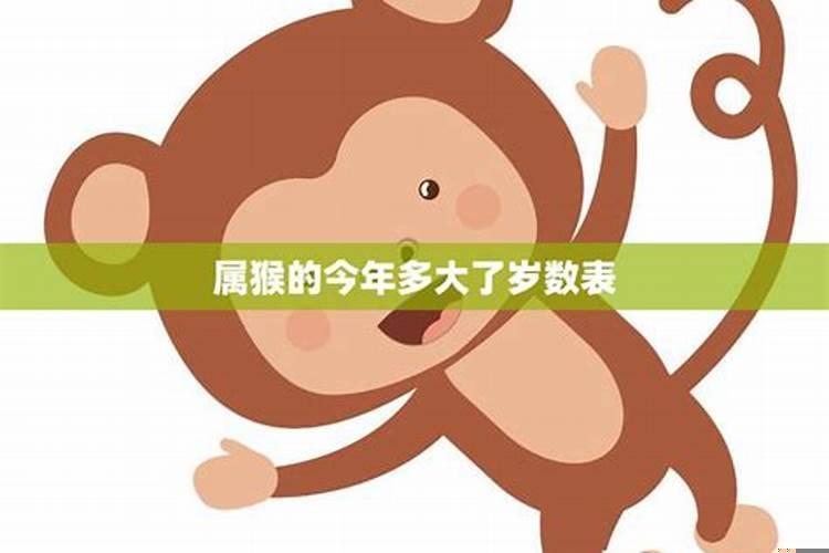 2027年属猴的多大岁数