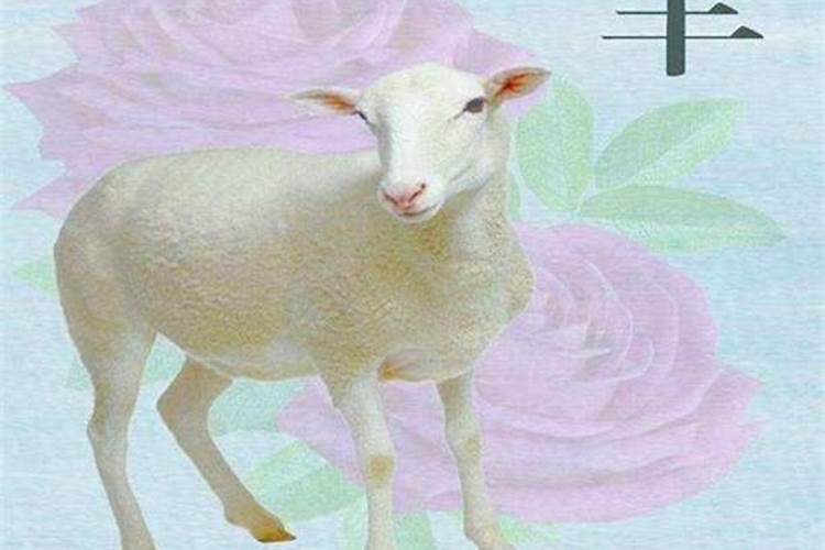 哪些属相不合不宜婚配