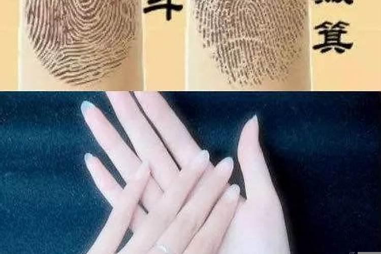 手相指纹十个簸箕