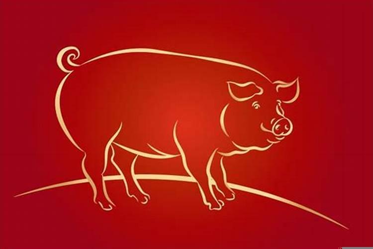 如果被舍友排挤怎么办