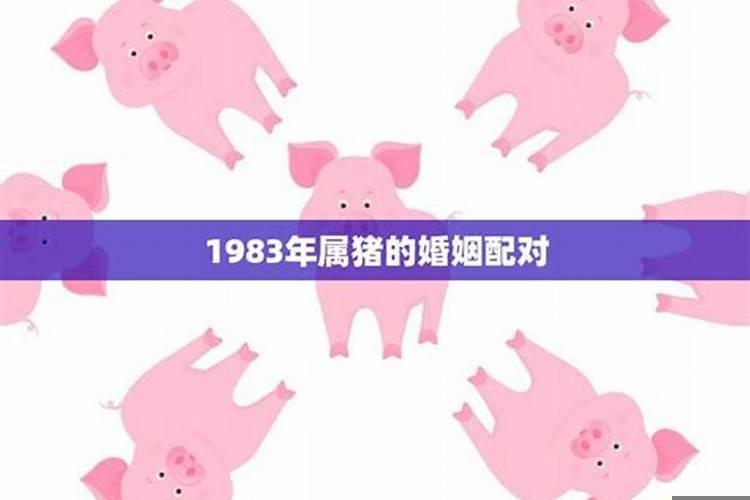 1983年十月猪的婚姻