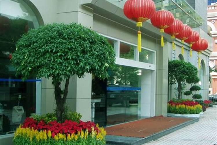 店里摆什么绿植