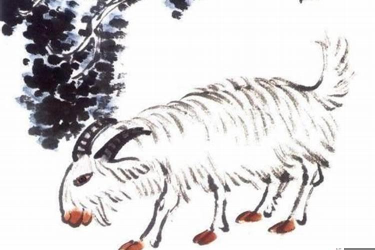 家里有什么生肖发大财