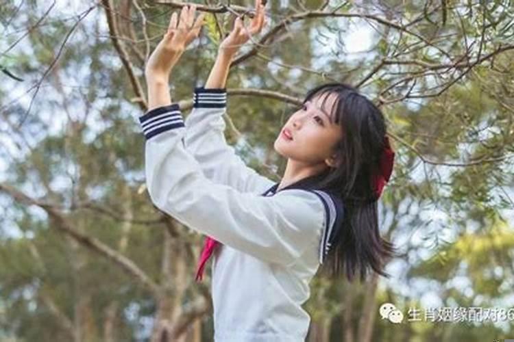 生肖马的晚年命数