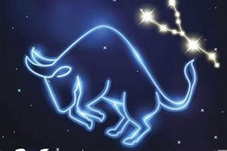 金牛座男最大优点和缺点