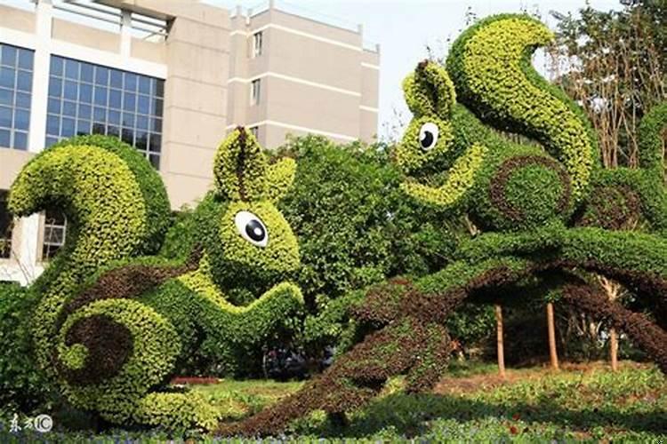 属猴的桌子上摆什么合适