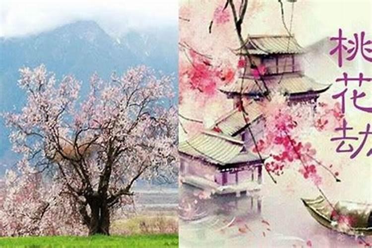 桃花劫是什么意思桃花劫