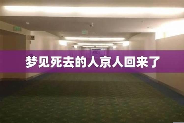 梦到死去的妹妹回来了