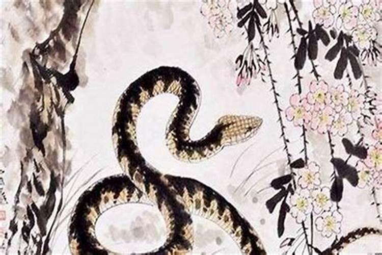 一家三个属蛇的