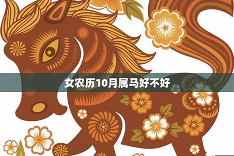 农历十月属马的婚姻