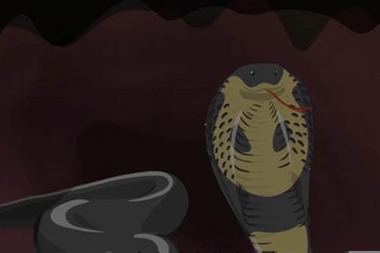 孕妇梦见蟒蛇是什么意思