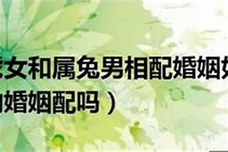 男属兔女属虎合适吗