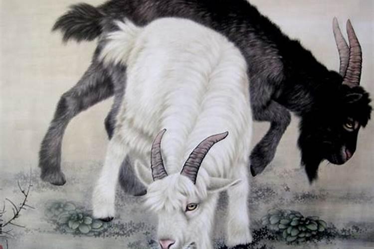 属猴和属羊的婚姻如何化解