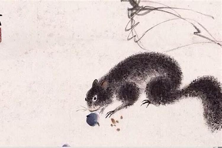 1988年二月初五属龙人命运