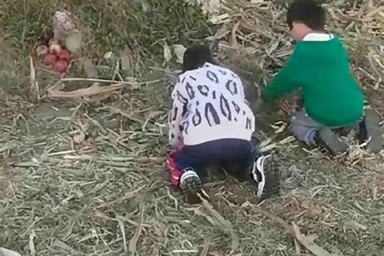 爸爸死了还用给爷爷上坟么