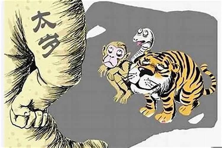 人犯太岁是什么意思