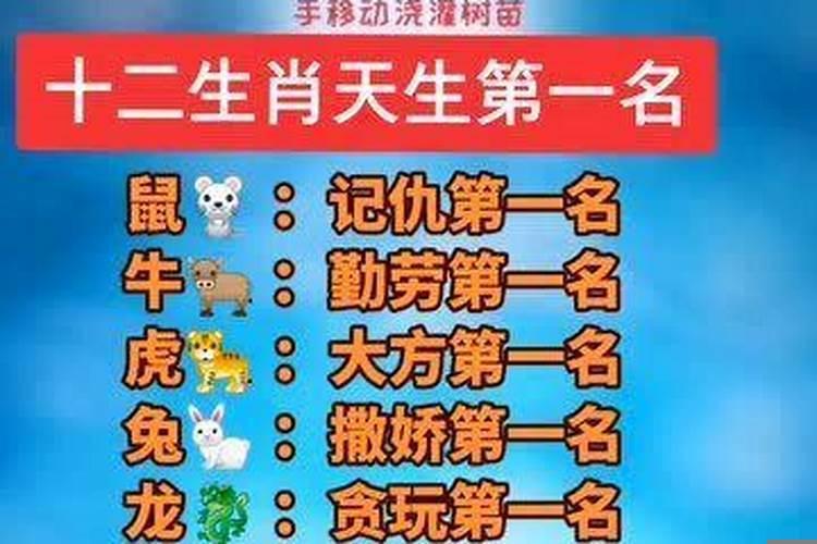 最有旺夫运的三大生肖