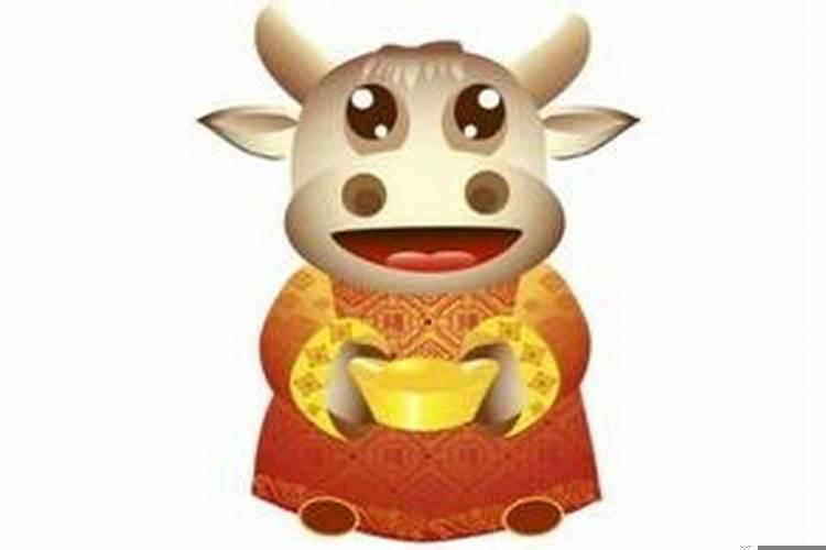 属牛本命年需要注意些什么