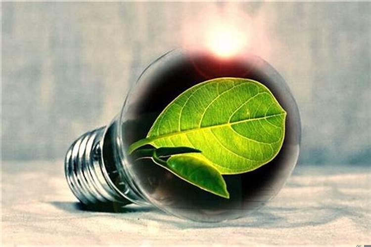 梦见房子周围都是水代表什么征兆