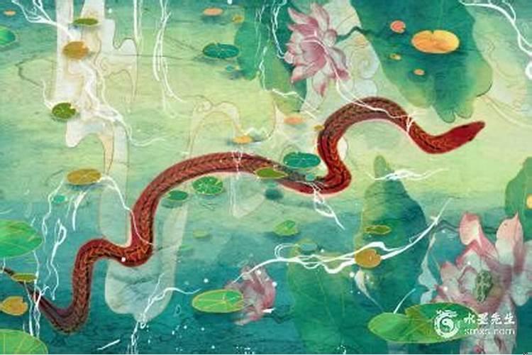 属蛇犯月份是几月份农历