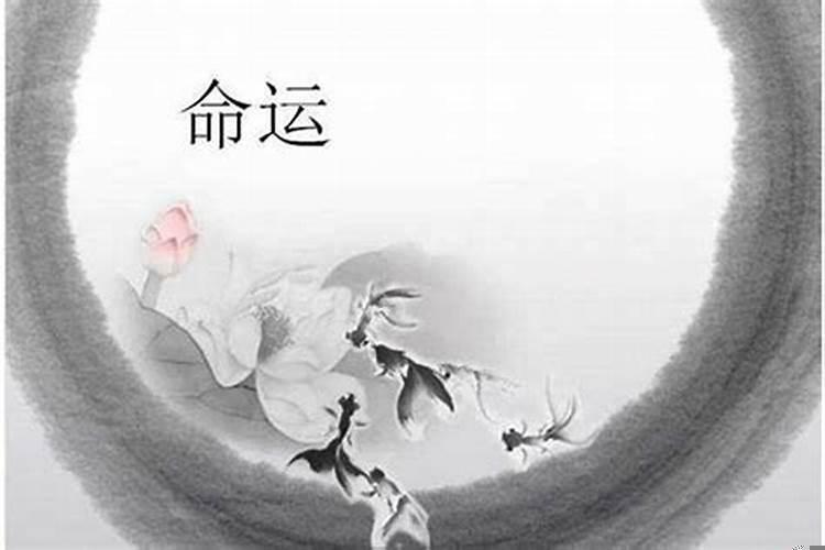 有些人的命运是注定的