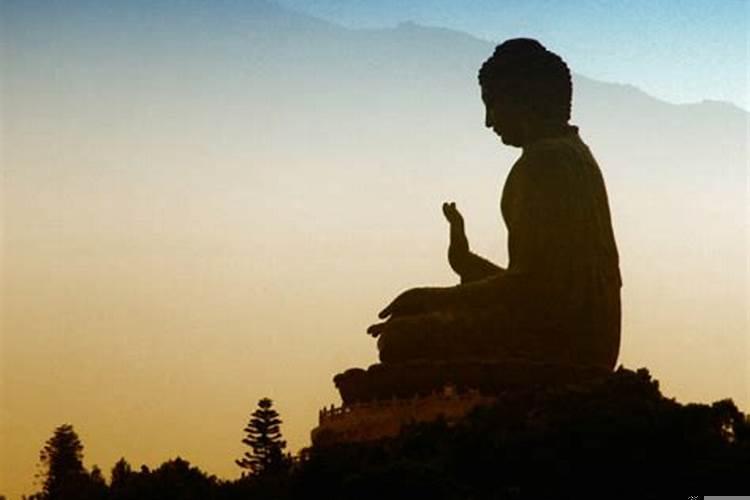 渡佛说的是什么