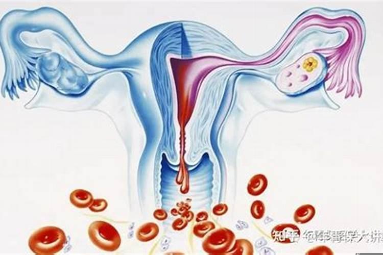 事业运与财运有什么区别