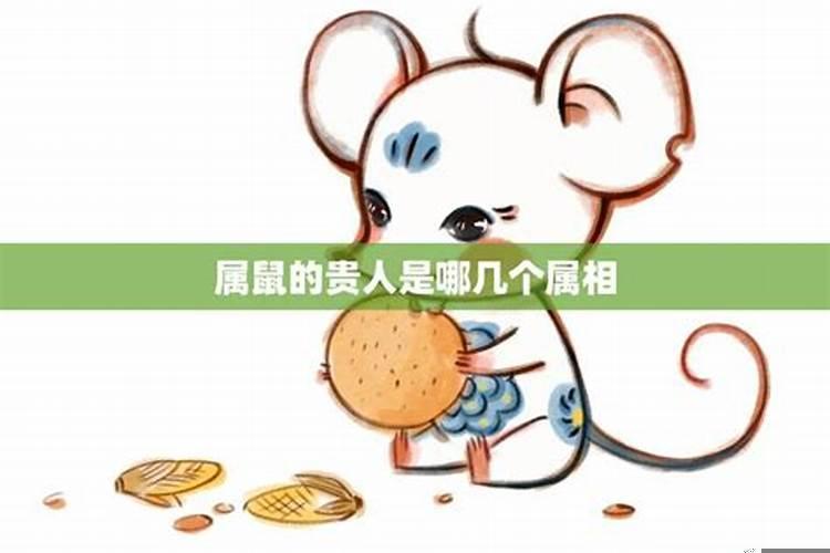 属鼠的贵人是属什么的