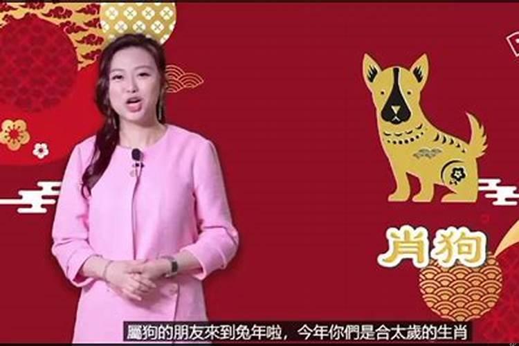 生肖狗命理分析