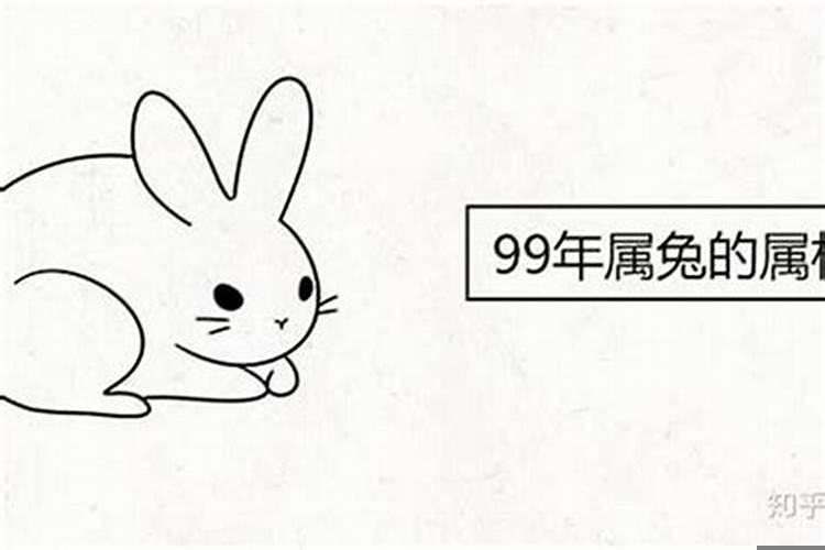 属鼠与属兔相克吗